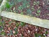 image of grave number 957782